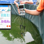 IoT Based Biofloc Monitoring System Using WioTerminal